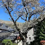 Au Coeur De St-lary - Piscine Chauffee Et Sauna Lejlighed *