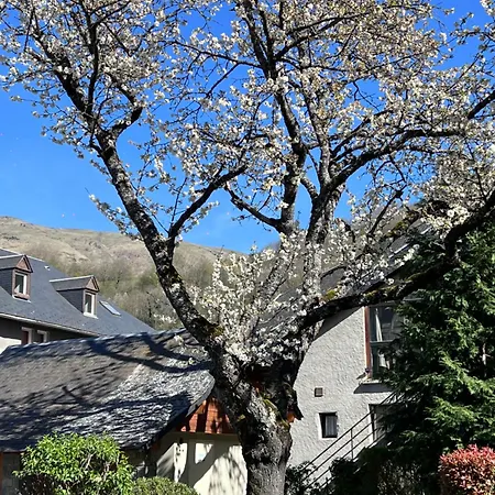 Au Coeur De St-lary - Piscine Chauffee Et Sauna Lejlighed *