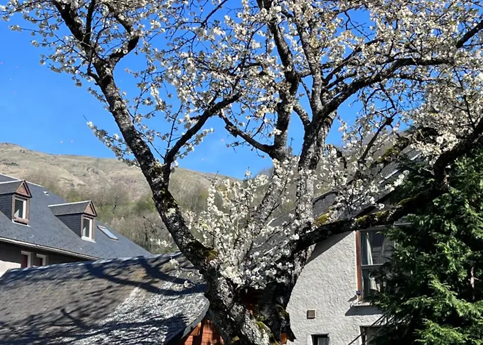 Au Coeur De St-lary - Piscine Chauffee Et Sauna Apartment *